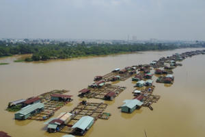 Thiệt hại hơn 1.900 tấn cá do mưa liên tiếp trong mấy ngày qua tại Đồng Nai Thiệt hại hơn 1.900 tấn cá do mưa liên tiếp trong mấy ngày qua tại Đồng Nai