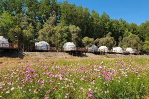 Bài 2 - Du lịch cắm trại ở hồ Trị An: Người dân muốn hướng dẫn làm du lịch trên đất rừng nhận khoán