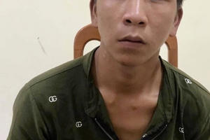 Bắt giữ đối tượng cộm cán gây án ở khắp các tỉnh miền Trung Bắt giữ đối tượng cộm cán gây án ở khắp các tỉnh miền Trung