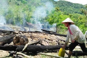 Ăn sáng quên dập bếp, cả nhà thành than