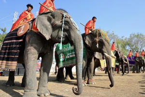 Bảo vệ biểu tượng văn hóa Tây Nguyên