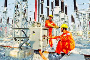 Thanh tra chuyên ngành về quản lý và cung ứng điện của Tập đoàn Điện lực Việt Nam