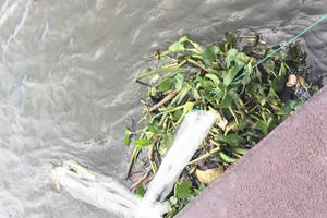 Bình Dương: Phát hiện thi thể người phụ nữ trên sông Sài Gòn