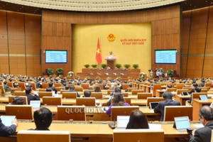 Vì sao nhiều địa phương không bầu đại biểu HĐND cấp phường, quận?