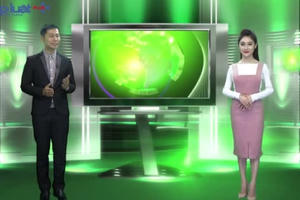 Bản tin mùa Đông Plus (No5)