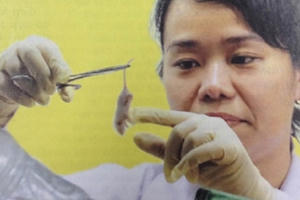 Nữ thạc sĩ kết thân với VIRUS