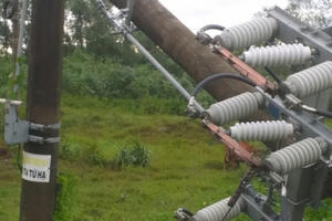 EVNCPC khẩn trương xử lý sự cố lưới điện do bão số 5 gây ra