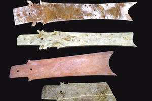 27 bảo vật được công nhận là bảo vật bảo vật quốc gia