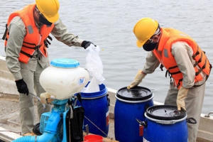 Vợ ông Nguyễn Đức Chung giả chữ ký con trai thành lập Công ty Arktic