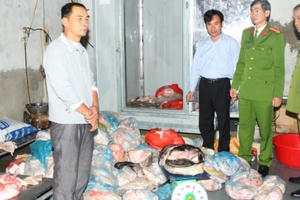 Hà Nam: Bắt giữ 750kg bì lợn không rõ nguồn gốc, đang trong quá trình phân huỷ