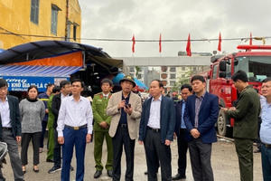 Hải Phòng lên phương án xây dựng chợ tạm Tam Bạc