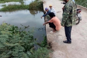 Hà Tĩnh: Hai mẹ con bị té ngã vì cầu không có lan can, mẹ tử vong