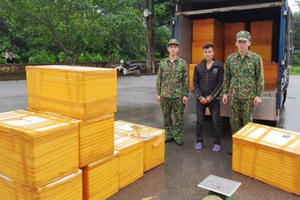 Quảng Ninh: Bắt giữ xe tải chở nửa tạ cá tầm nhập lậu trên đường đưa đi tiêu thụ