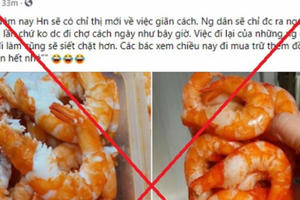 Hà Nội: Thông tin người dân chỉ được ra ngoài 7 ngày/1 lần là "tin giả" Hà Nội: Thông tin người dân chỉ được ra ngoài 7 ngày/1 lần là "tin giả"