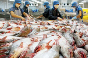 Nhìn lại 1 năm tăng trưởng ấn tượng của ngành hàng cá tra