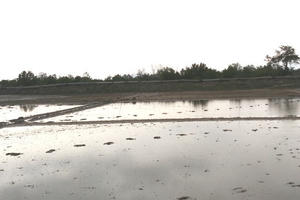 Kỳ 5 - Hợp đồng giao khoán của BQL Rừng phòng hộ tỉnh Bà Rịa - Vũng Tàu có dấu hiệu khai khống?