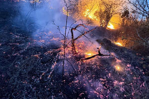 Chủ tịch UBND tỉnh Bình Thuận yêu cầu báo cáo vụ cháy tại khu vực Núi Tàu