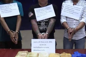 Chặn đứng 62.000 viên ma túy trên đường vào Việt Nam