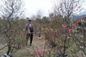 Hưng Yên: Nhộn nhịp chợ Nông sản Khoái Châu ngày giáp tết