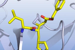Tìm ra 6 loại thuốc được cho có thể giúp điều trị Covid-19
