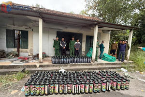 Quảng Ninh: Triệt phá đường dây buôn bán, vận chuyển khí cười quy mô lớn