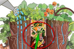 Công nghệ tận dụng rác thải để trồng rau