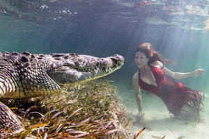 Chiêm ngưỡng bộ ảnh người đẹp bên... cá sấu