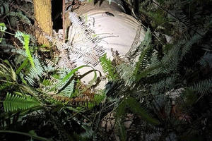 Phát hiện thi thể nữ giới đang phân hủy trên đồi keo ở phường Móng Cái 3