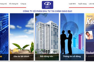 Không công bố thông tin, Công ty Cổ phần Đầu tư Tài chính Giáo dục bị xử phạt