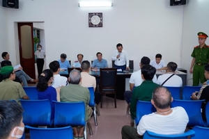 Hải Phòng: Gia tăng khiếu nại liên quan đến đất đai, giải phóng mặt bằng