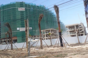 Địa ốc 7AM: Đà Nẵng ‘chuộc’ lại đất cho Công viên 29-3, chủ đầu tư Cocobay bị khởi kiện vì không bàn giao nhà