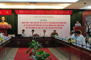 Hậu cháy Carina: Xuất hiện trục lợi đầu cơ thổi giá đất nền