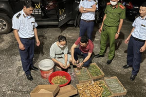 Tết Trung thu tới gần, Bộ Y tế cảnh báo