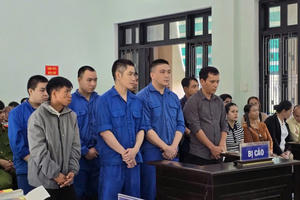 Kiểm lâm trả giá vì dùng biển số giả vận chuyển, mua bán gỗ trái phép