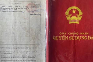 UBND quận 12 có xử phạt hành chính sai quy định?