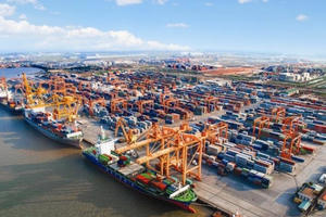 Chuyên gia WB: Việt Nam có khả năng chống chịu "ngoài dự kiến"