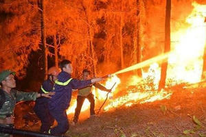 Cháy rừng Hồng Lĩnh và thức tỉnh