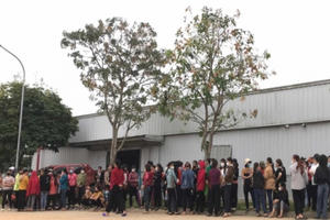 Nghệ An: Hàng trăm công nhân ngừng làm việc Nghệ An: Hàng trăm công nhân ngừng làm việc