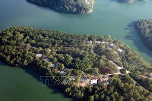 Đình chỉ thi công bệnh viện lấn rừng phòng hộ hồ Tuyền Lâm, Lâm Đồng Đình chỉ thi công bệnh viện lấn rừng phòng hộ hồ Tuyền Lâm, Lâm Đồng