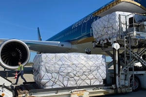 Báo cáo Thủ tướng việc lập hãng hàng không vận tải hàng hoá mới