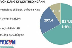 Thu hút FDI năm 2017 nhiều triển vọng