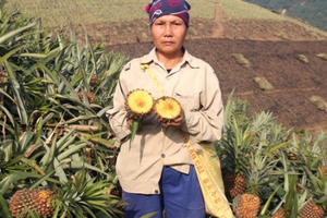 Lào Cai: Đình chỉ hoạt động nhà máy luyện kim gây ô nhiễm môi trường