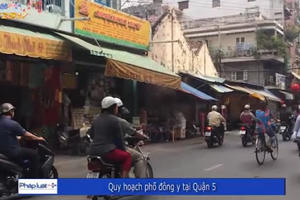 Quy hoạch tuyến phố Đông y ở TP HCM