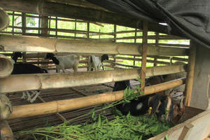 Sửa đổi tiêu chí phân bổ vốn Chương trình MTQG phát triển KT-XH vùng dân tộc thiểu số, miền núi