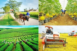 Phấn đấu giải ngân 100% vốn đầu tư công cho các chương trình mục tiêu quốc gia