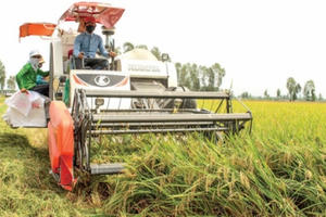 Nông nghiệp tiếp tục khẳng định trụ đỡ nền kinh tế Nông nghiệp tiếp tục khẳng định trụ đỡ nền kinh tế