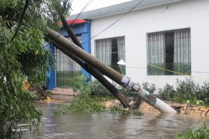 Thái Bình: Người đàn ông tử vong do bị cột điện đè lên người Thái Bình: Người đàn ông tử vong do bị cột điện đè lên người