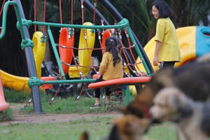 Hãi hùng cảnh trẻ em Hà Nội vô tư chơi đùa bên những con chó không rọ mõm