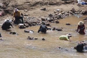 Truy trách nhiệm, các khoản nợ tài chính tiền tỷ của DN khai thác mỏ vàng