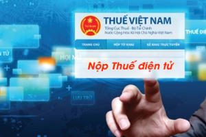 Các nhà cung cấp nước ngoài như Google, Apple, Meta… đã kê khai, nộp thuế 1.800 tỷ đồng